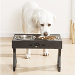 Dog Double Bowls Elevated Feeder