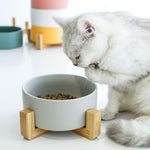 Fashion 850ml Pet Bowl Cat Dog Bowl Wooden