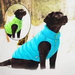 Large Dog C medium large dog jacket waterproof