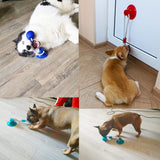 Dog  Puppy Interactive Suction Cup Push TPR Ball Molar Bite