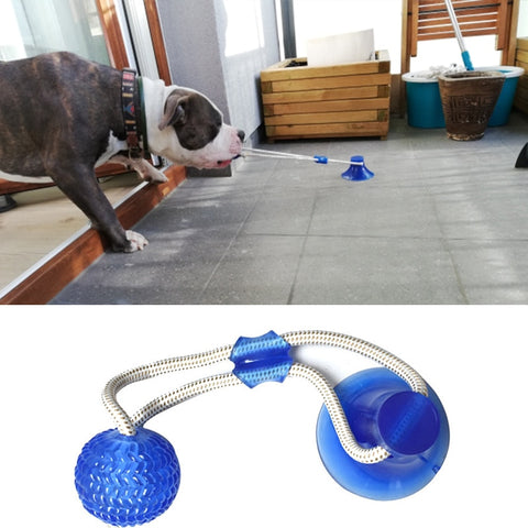 Dog  Puppy Interactive Suction Cup Push TPR Ball Molar Bite