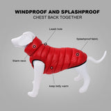 Large Dog C medium large dog jacket waterproof