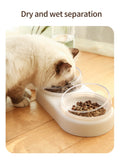 Dog Cat Food Bowl With Water Fountain Double Bowl