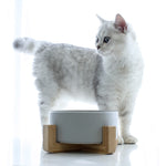 Fashion 850ml Pet Bowl Cat Dog Bowl Wooden