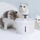 Pet Cat Water Fountain