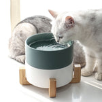 Fashion 850ml Pet Bowl Cat Dog Bowl Wooden