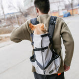 Outdoor Travel Puppy Medium Dog Backpack