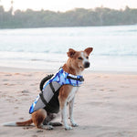 Dog Floatation Safety Vest Adjustable