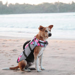 Dog Life Jacket Ripstop with rescue handle