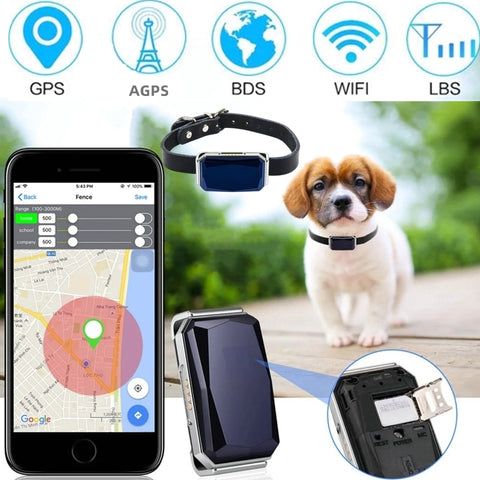 Pet Collar With Gps Tracker For Dogs Cats