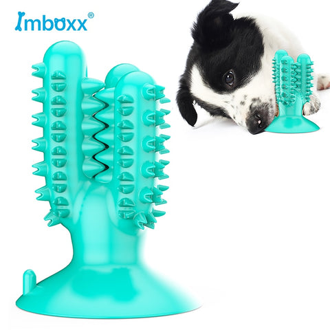 Bite Resistant Dog Toothbrush  Interactive  Teeth Cleaning Toy Small Medium Large Dog