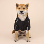 Autumn and Winter Dog Clothes Large, Medium and Small Pets