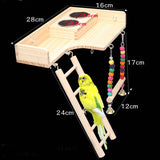 Pet Bird Parrot Playground with 2 Cups Bird Feeder  Swing Climbing Hanging Ladder