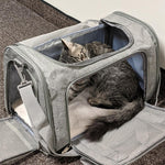 Cat Backpack With Mesh Window Travel