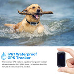 Pet Collar With Gps Tracker For Dogs Cats