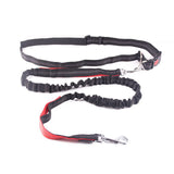 Dog traction rope nylon reflective