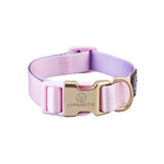 Pet Shop All Bulldog Frances Puppy Choker Collar Dog Leash