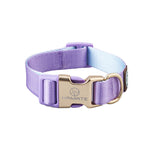 Pet Shop All Bulldog Frances Puppy Choker Collar Dog Leash