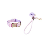 Pet Shop All Bulldog Frances Puppy Choker Collar Dog Leash