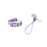 Pet Shop All Bulldog Frances Puppy Choker Collar Dog Leash