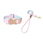 Pet Shop All Bulldog Frances Puppy Choker Collar Dog Leash