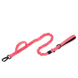 Pet Dog Collar Leash Set Nylon Material Durable