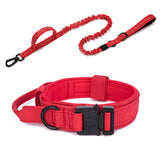 Pet Dog Collar Leash Set Nylon Material Durable