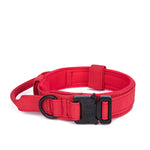 Super Sturdy Large Dog Collar Medium-sized Dog