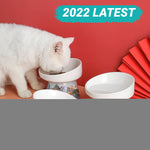 Ceramic Cat Bowl Feeder with Mat Raised Stand