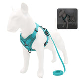 Harness and Leash Set Pet