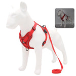 Harness and Leash Set Pet