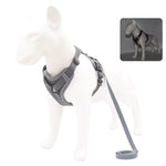 Harness and Leash Set Pet