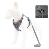 Harness and Leash Set Pet