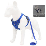 Harness and Leash Set Pet