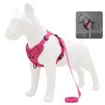 Harness and Leash Set Pet