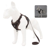 Harness and Leash Set Pet