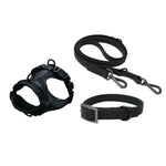 PVC Dog Leash And Collar Harness Set