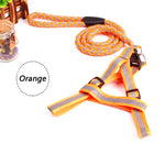 Reflective Pet Leash Collar Traction Harness