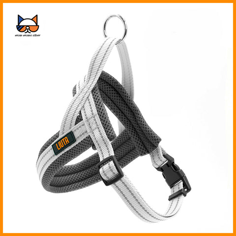 Reflective Dog Harness Collar Leash -