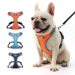 Dog Harness with Leash Summer Pet Adjustable