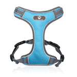 Dog Harness with Leash Summer Pet Adjustable